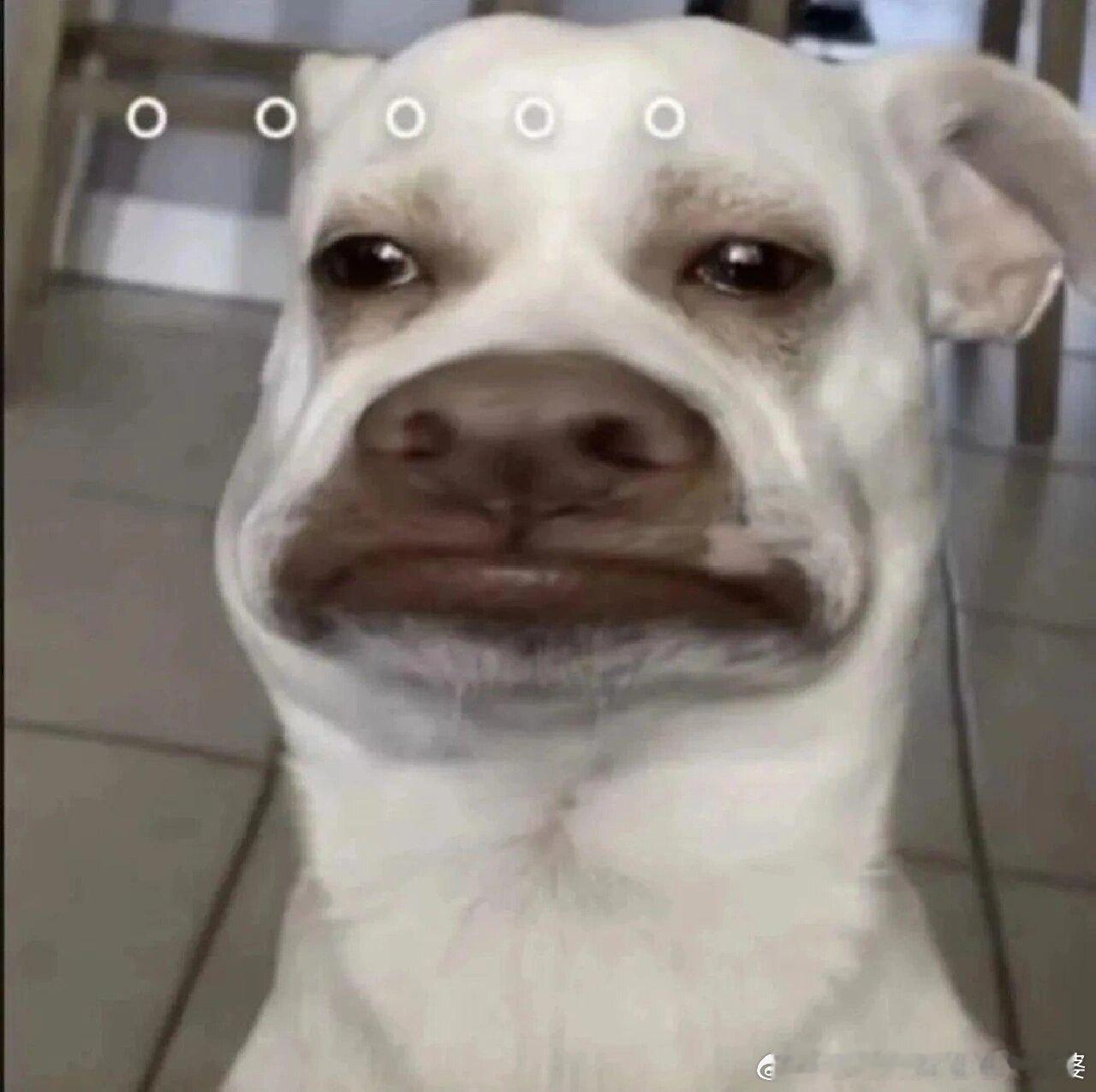 林俊杰最新发声评论区遭粉丝讥讽明星的父女恋就是这样，会被人重复审视，反复被舆论炙