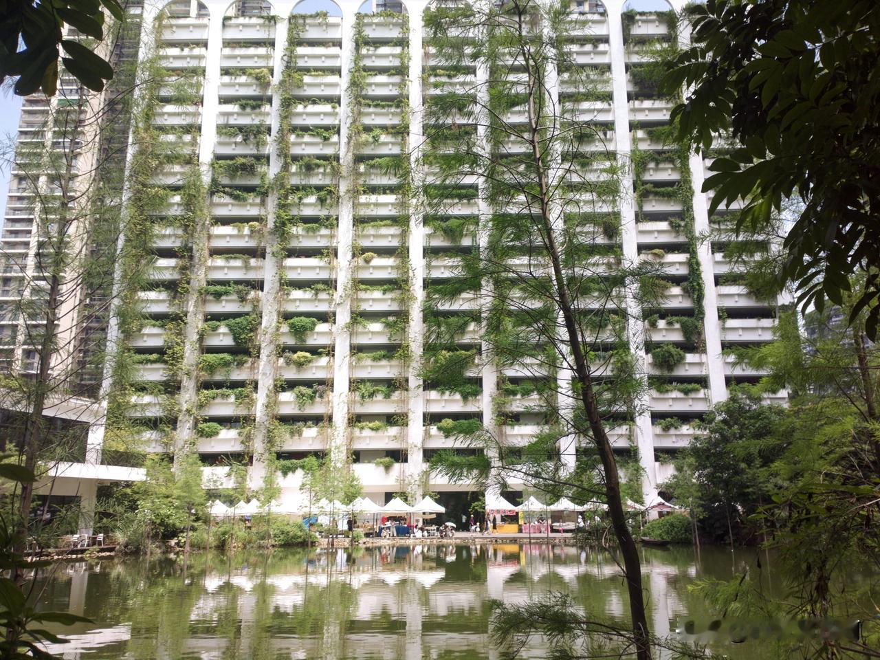 城市里的小秘境，泰华梧桐村
进来感觉时间都走的慢了