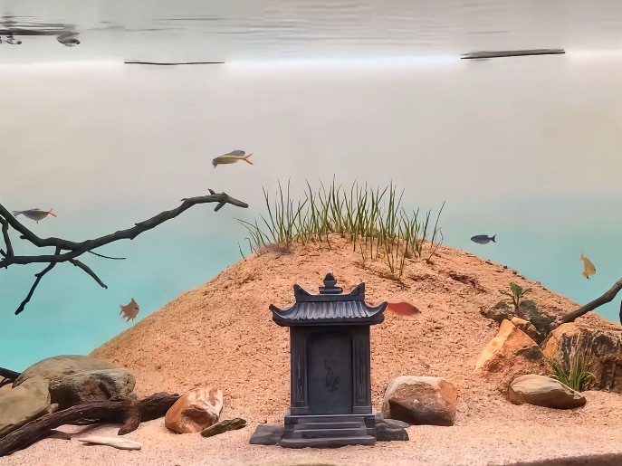 这是我见过最牛b的鱼缸造景