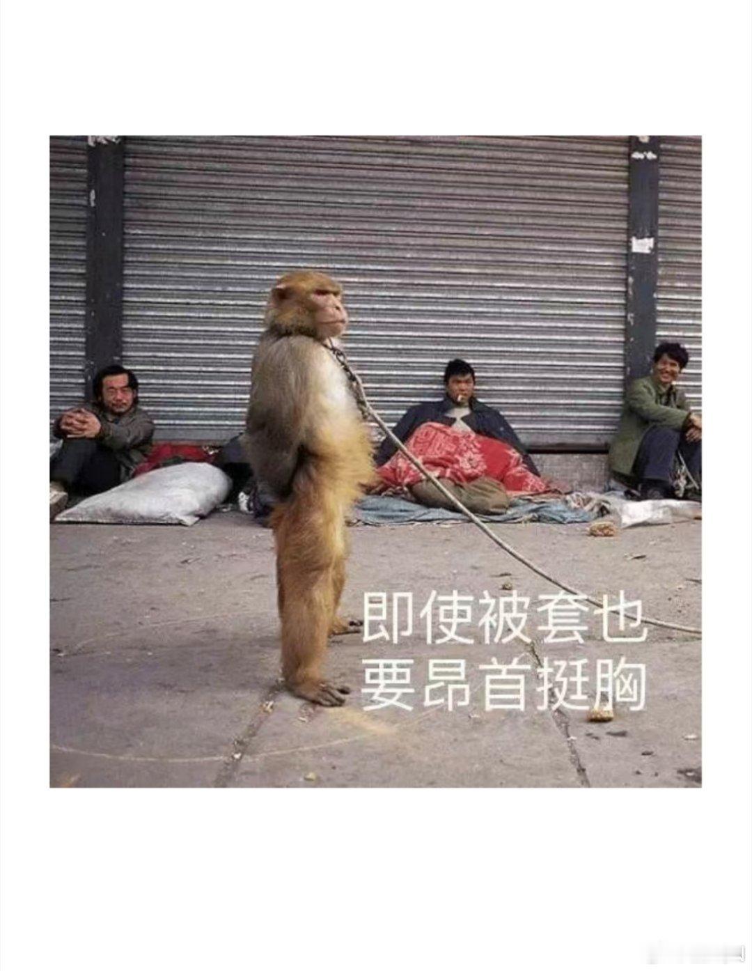 医药要套人了相信我有利润，赶紧跑 