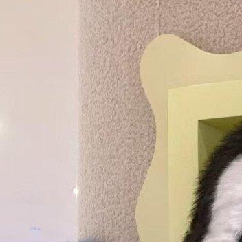 每日一善遇人多了就知道友情的可贵，遇事多了就知道理解的可贵;失败多了就知道心态的