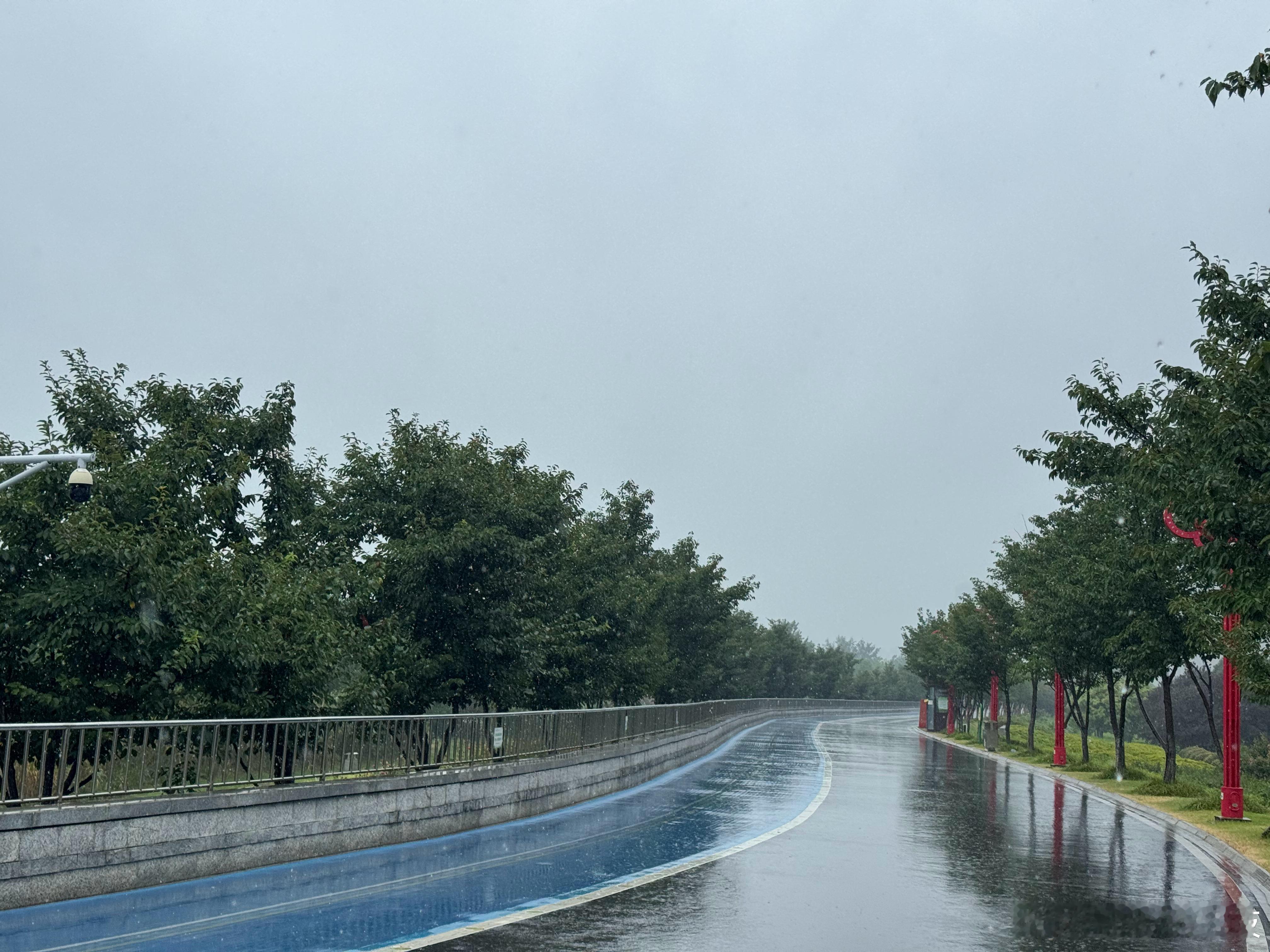 竹节草感觉对我影响不小！好不容易跑个步，结果下大雨了…… ​​​