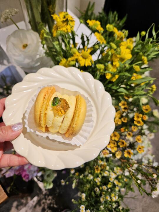 一口就爱上的马卡龙🍍春日里的小确幸💐