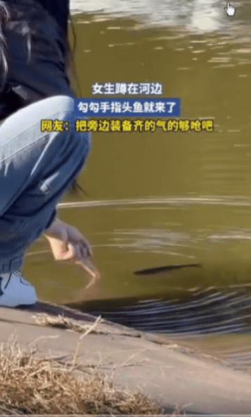 “这让钓鱼佬情何以堪？”10月9日黑龙江一女生去河边玩，看到有人在钓鱼，一时兴起