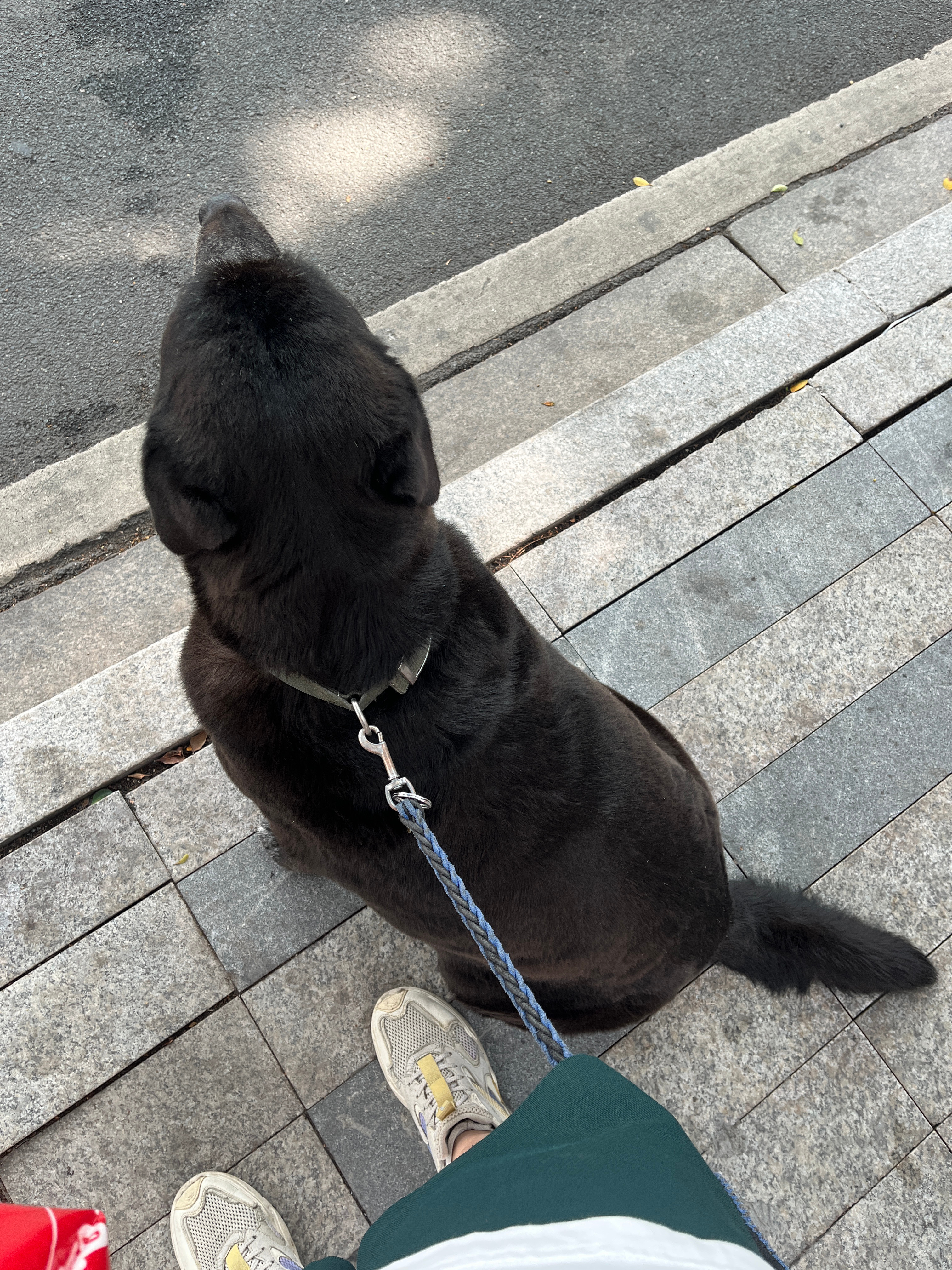 昨天的自驾游 广州