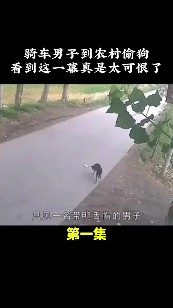 我的观影报告 内容启发搜索