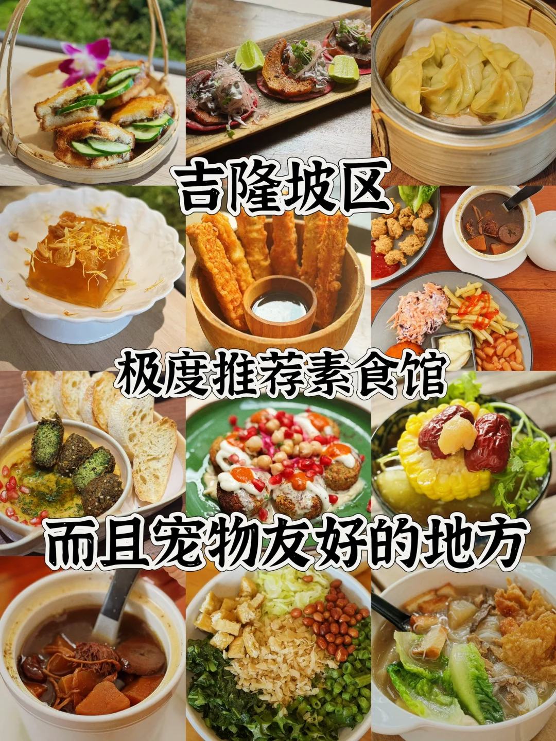 请多多支持吉隆坡区素食➕宠物友好的餐馆