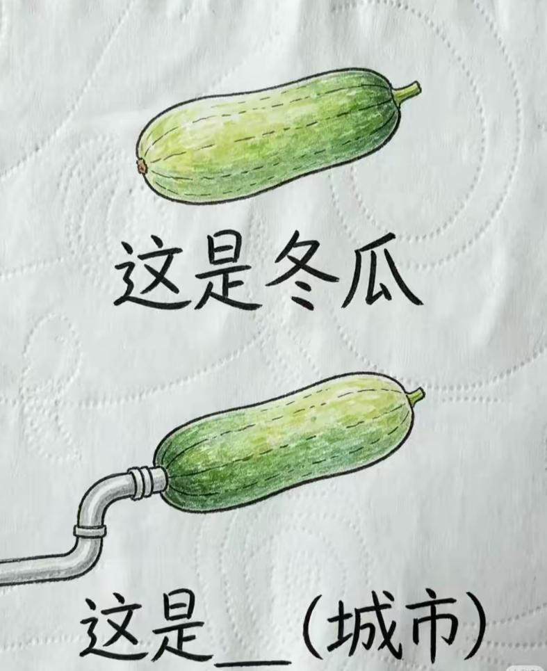 简简单单两幅瓜果画，一大家子愣是全员翻车
一个原生态冬瓜，另一个接上金属水管。家