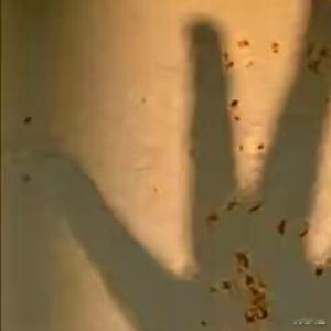 这一年我还是个小人物但也做了不少大事比如大吃、大喝睡大觉、逛大街人生的100种可