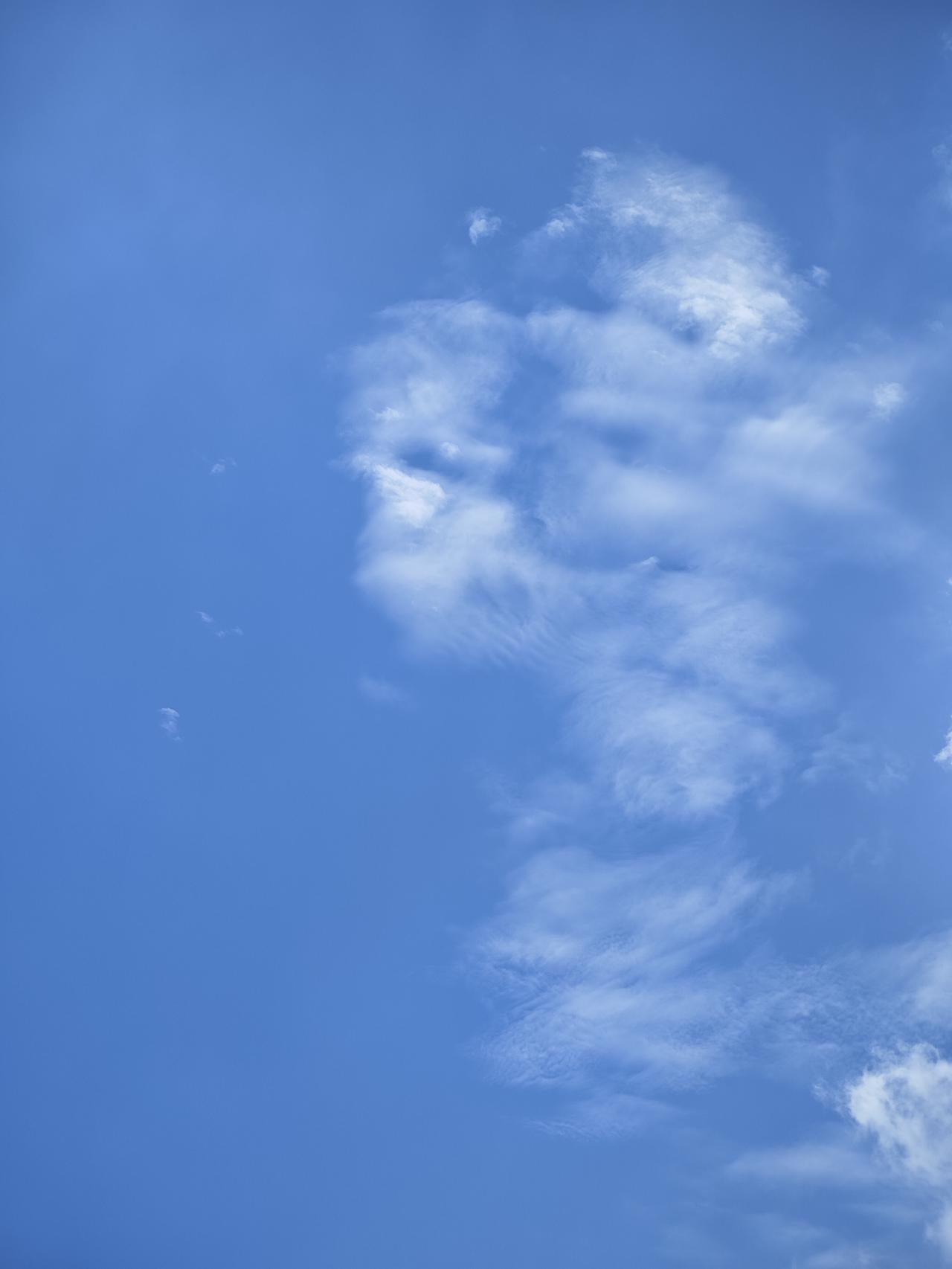 今天的云层很是稀薄，只是朵云，遮不住阳光，更挡不住蓝天。风吹得无精打采的，撼不动
