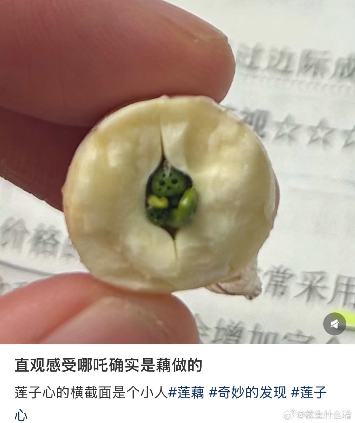 直观感受哪吒确实是藕做的 