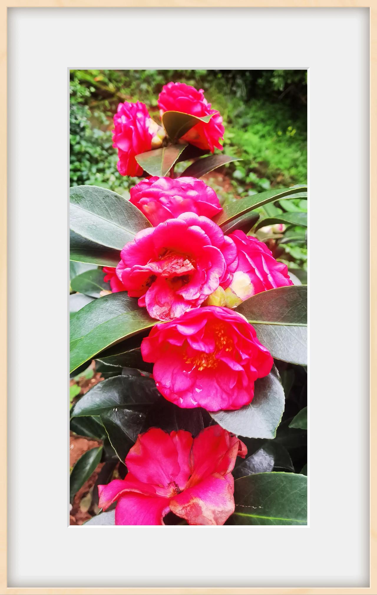 快退休了，想找点事做。可是，熟悉的工作，被单位和纪律禁入，去做不熟悉的事，我又没