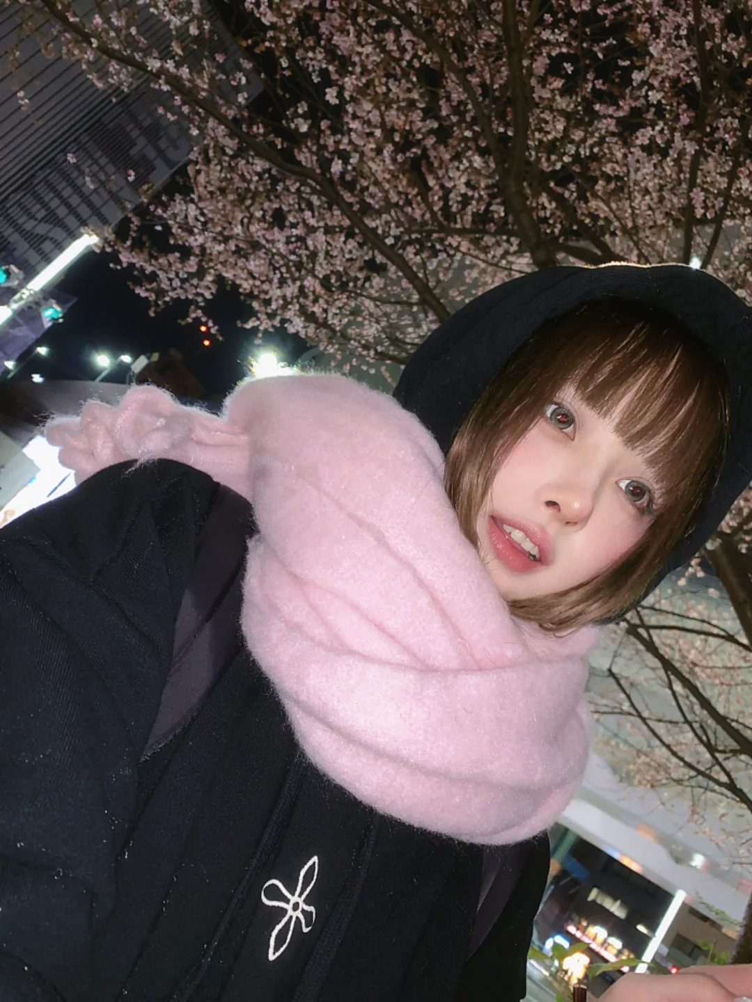 ⟡.• 桜🌸
