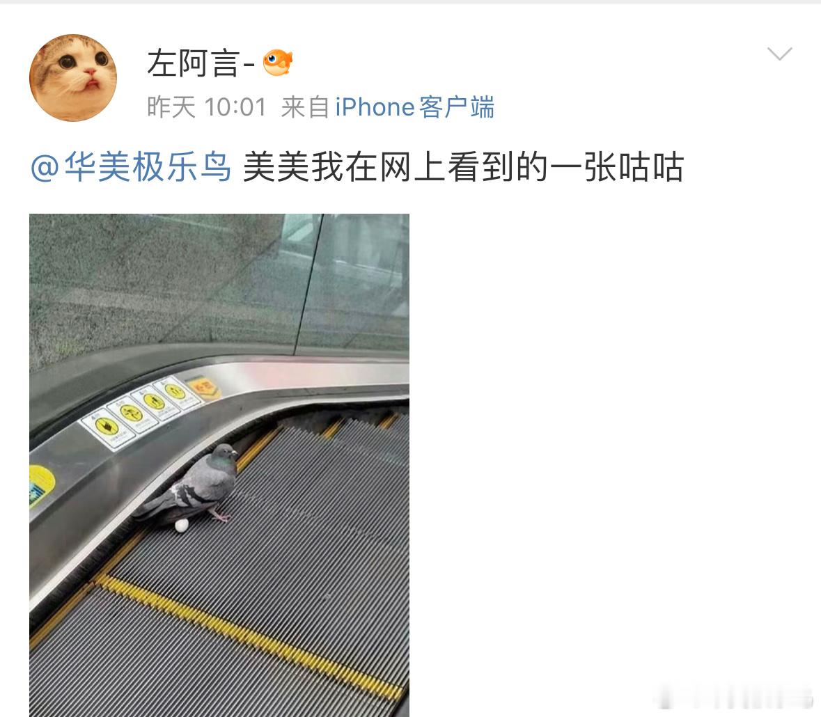 咕咕它呀 实在是憋不住了 ​​​