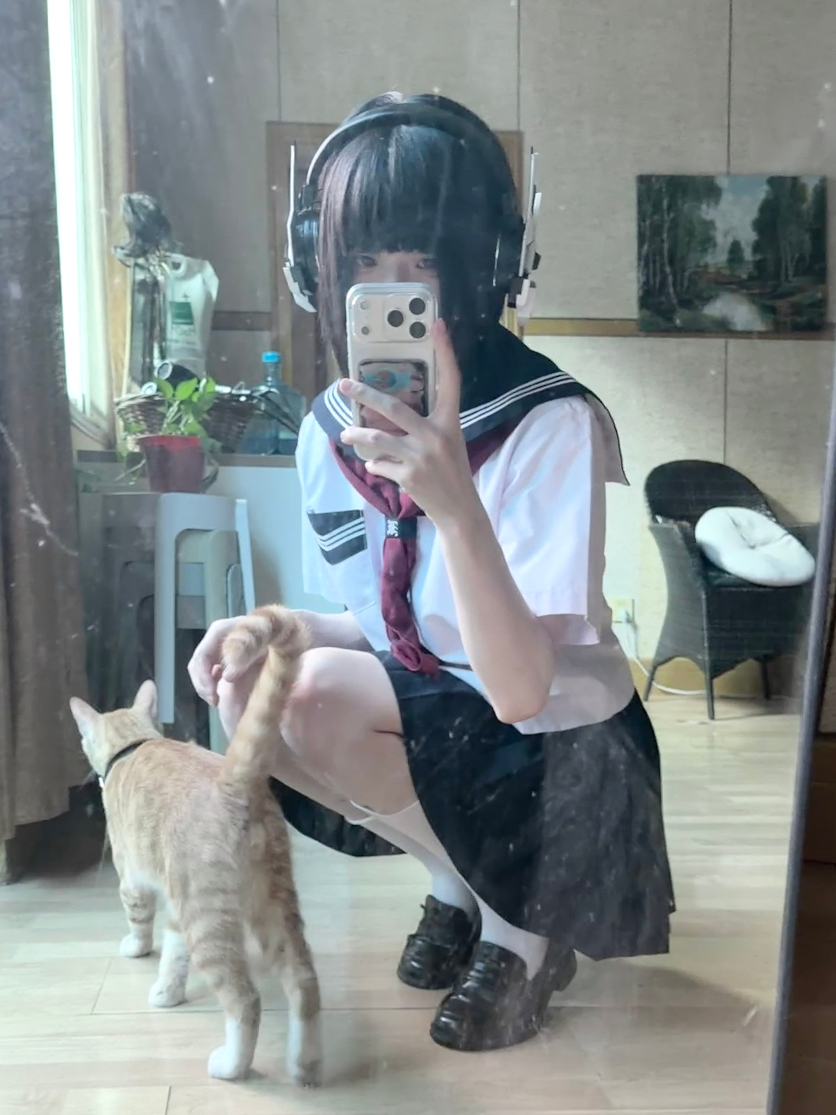 ◁◁ 