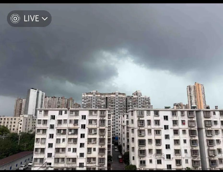 同桌问我还记不记得高二的那场暴雨？我还可以回到那个窗户旁，但那里已经已经物是人非