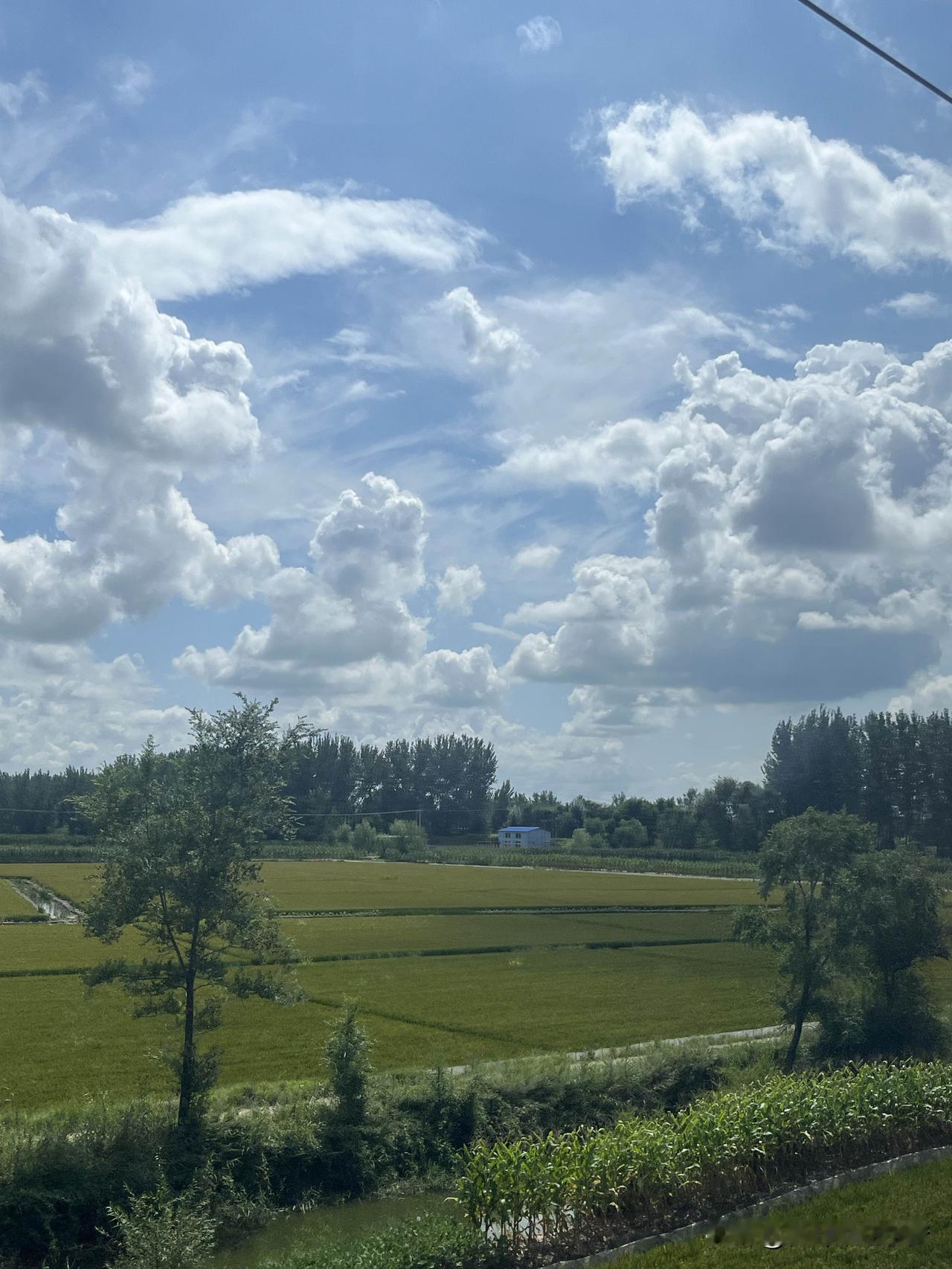 刘震云说：“凡是让你舒服的，最后榨干你的钱；凡是让你上瘾的，最后都会赔上你的命；