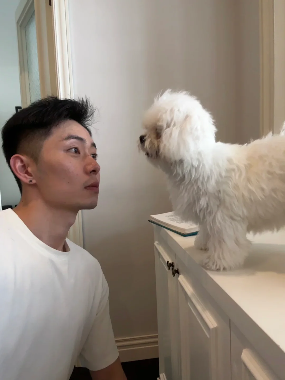 很喜欢玩别人的狗