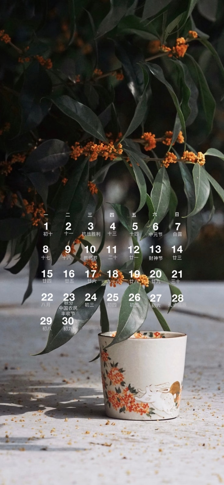 九月壁纸分享我爱秋天🍂壁纸 ​​​