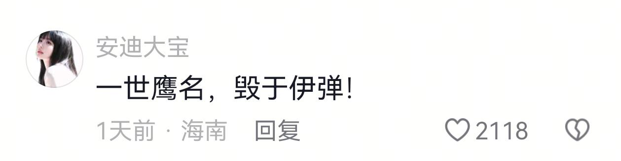 果然还是网友更有才：一世鹰名，毁于伊弹。
以前鹰名神武，海湾战争的现代信息化战争