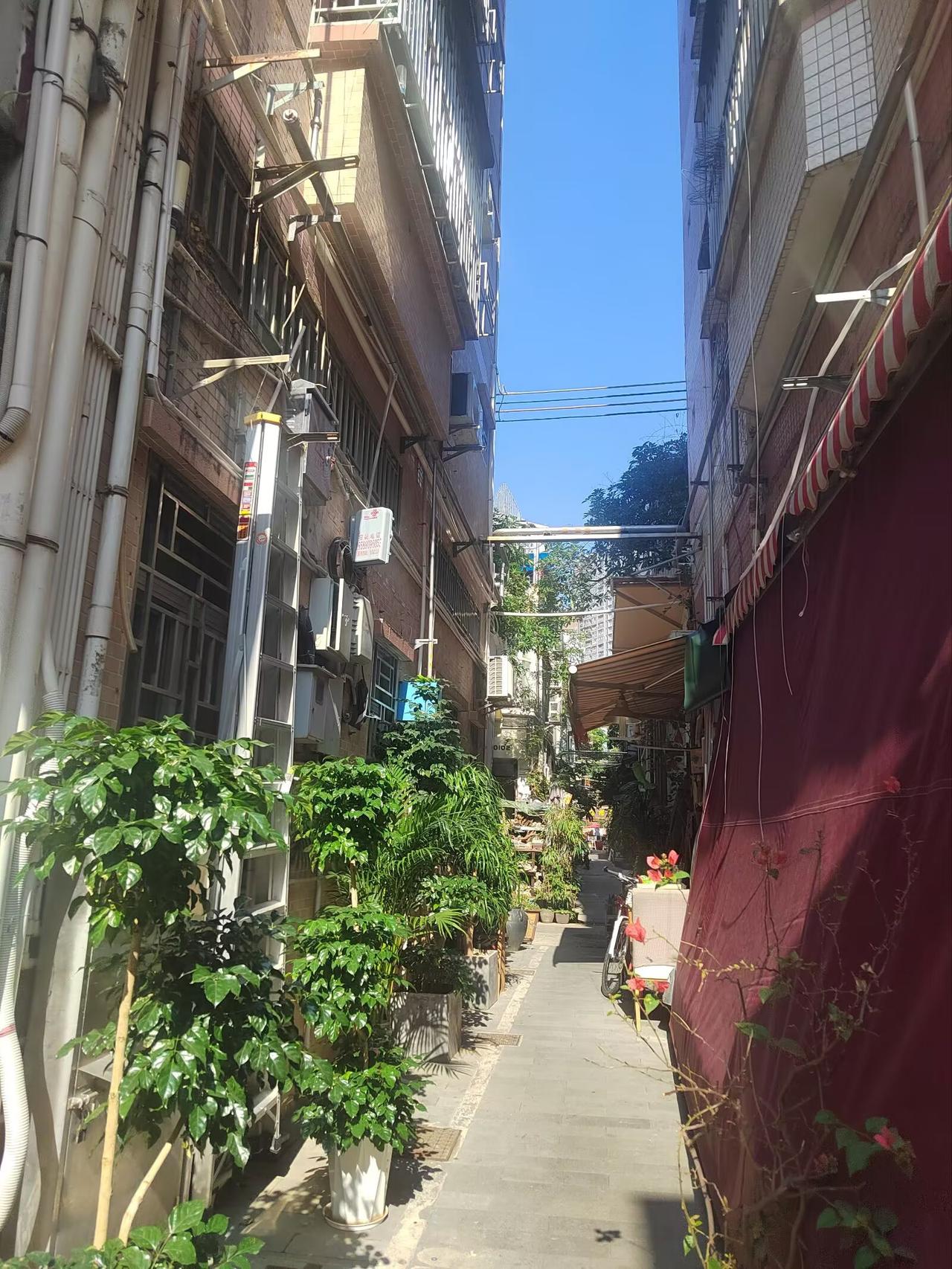 原来一年的时间是这么的快，去年的这个时候难得来了城市的周边游，持续了半个月左右。