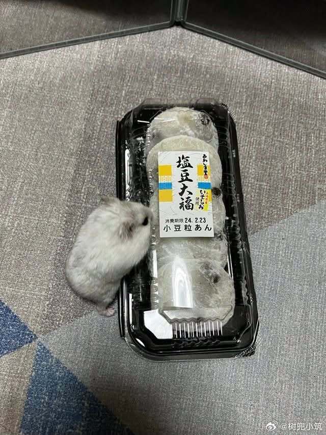 「别动！我现在就来救你们出来！」 