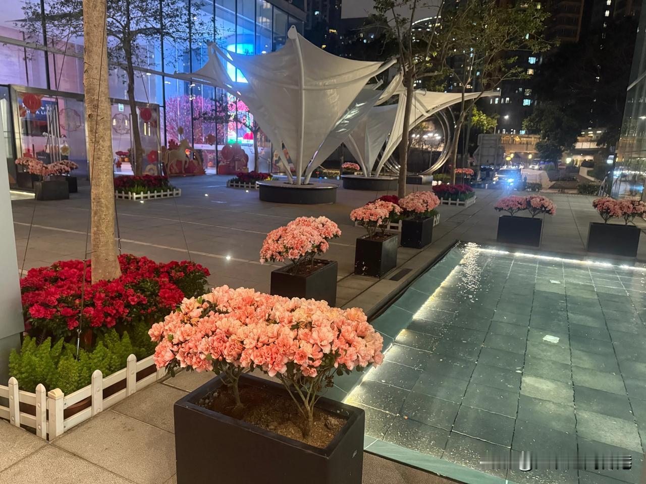 第一次现场全程观看：刚刚结束的维港烟花汇演以“马到成功耀香江”为主题，在经典的2