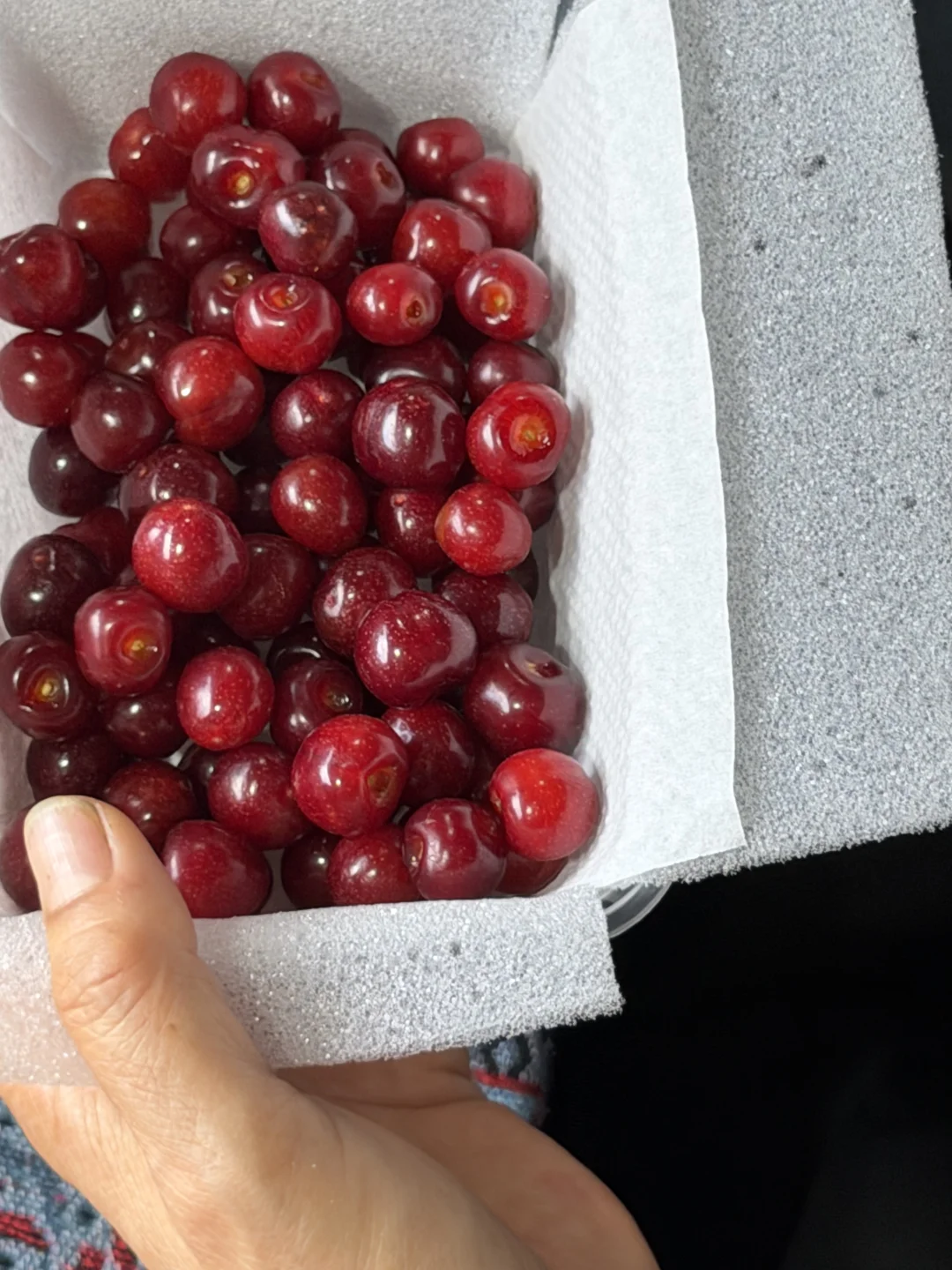 黑钻森林小樱桃，甜到你尖叫，不能吃甜不要拍