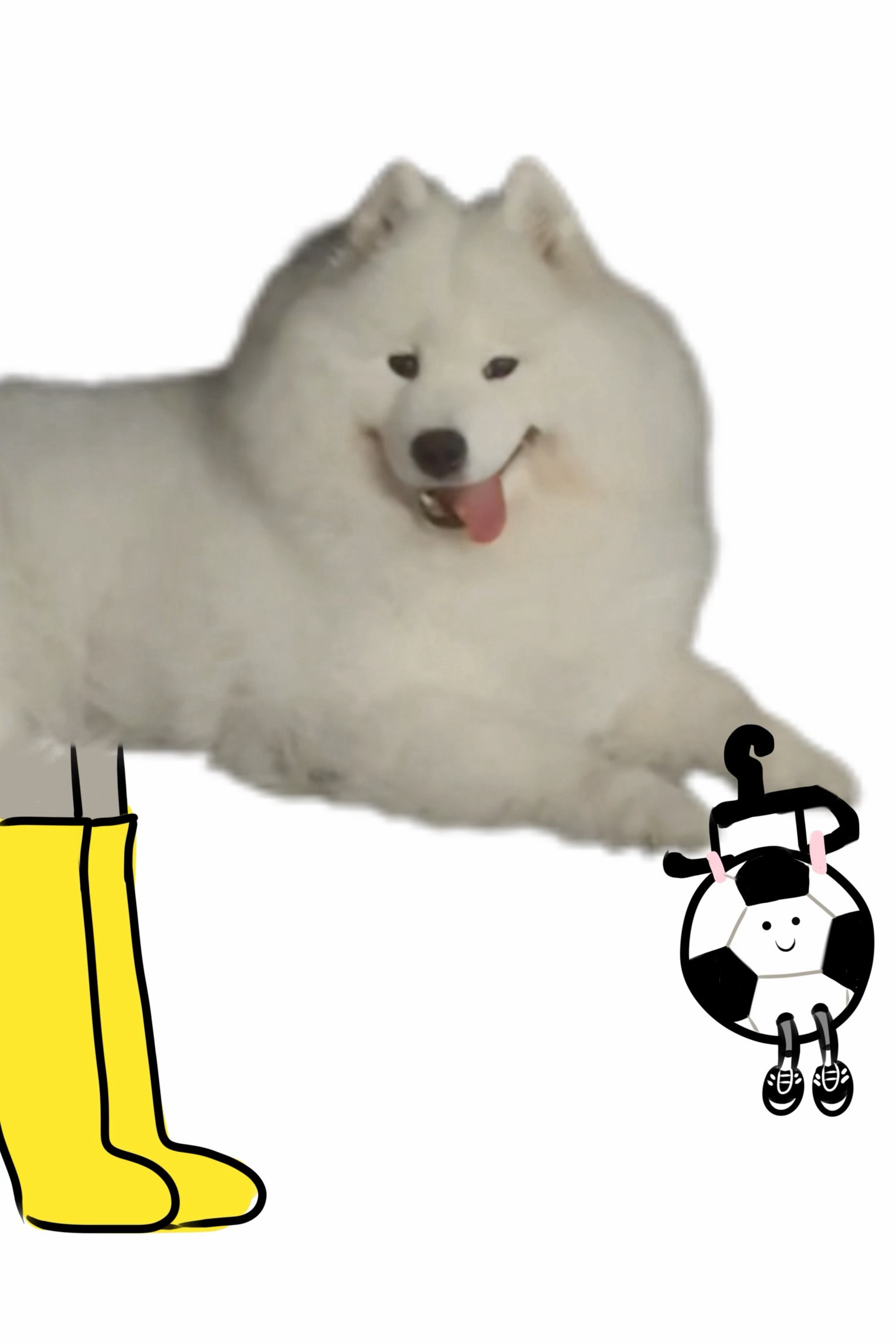 清洗我的小球 ​​​