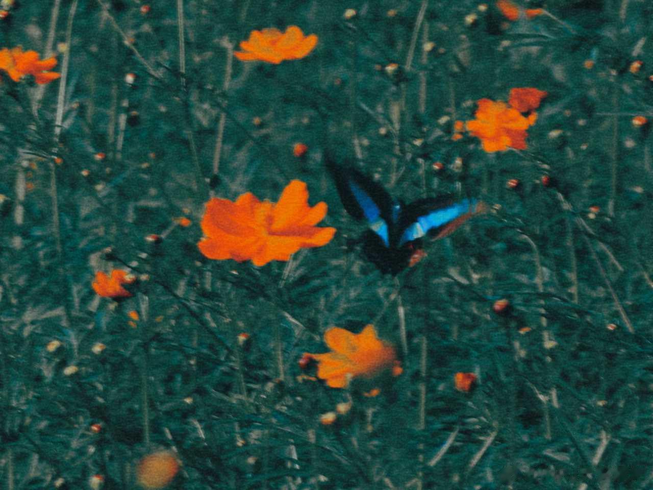 INFJ15015｜分享#infj生活碎片# 给bot投喂酱香饼，又是我，再给大