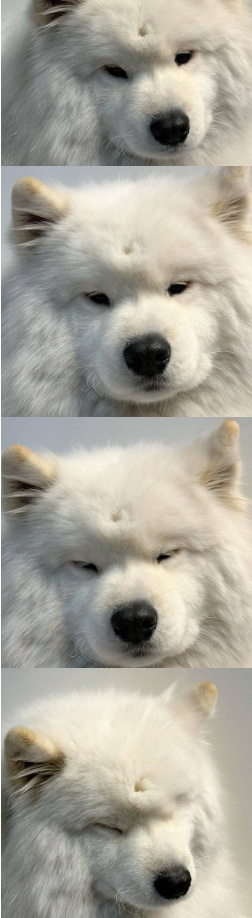 2025年的减肥计划又失败了耶... 