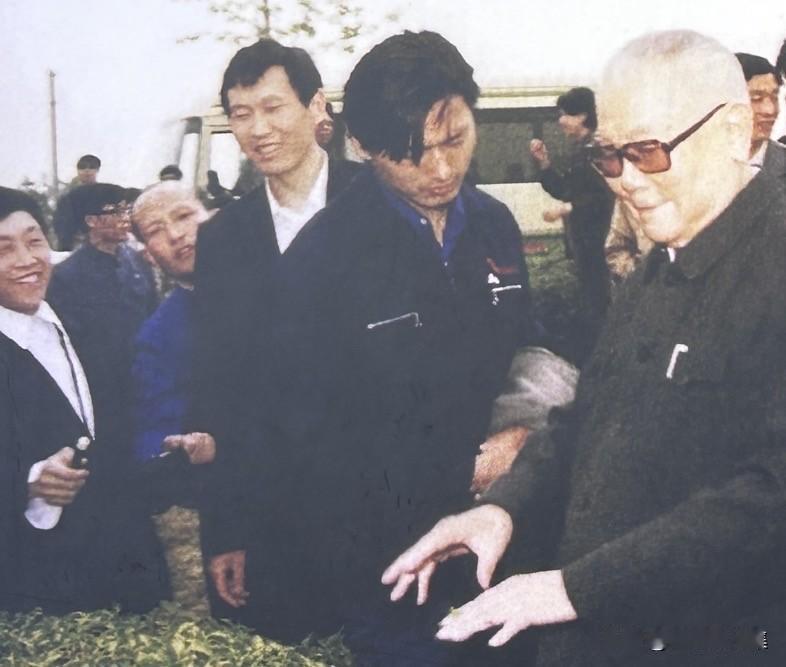 【开国功臣图片故事245】
1988年4月19日下午，79岁高龄的全国政协主席李