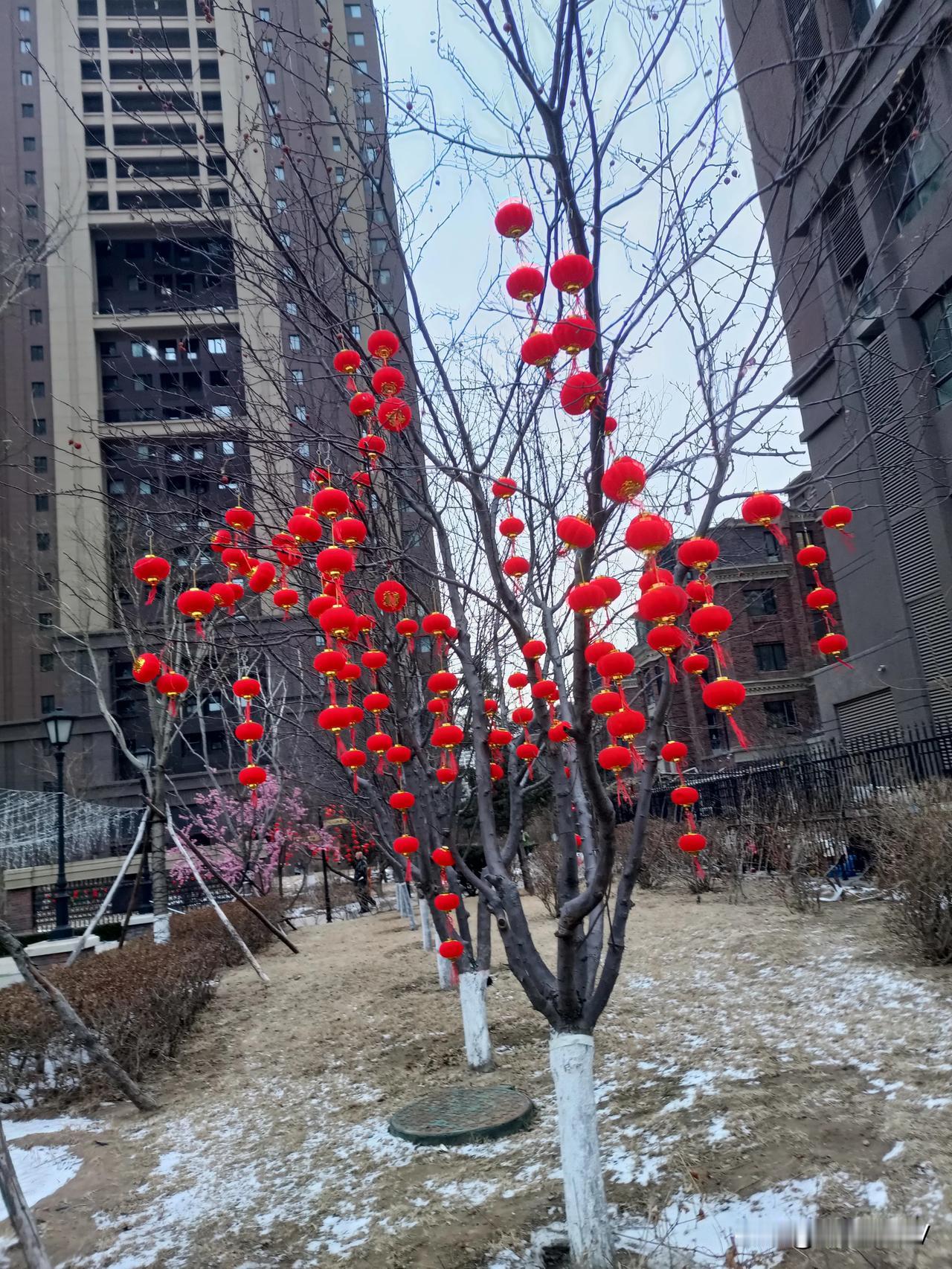 #人老了,生病了,什么最重要?#
要说人老了生病了，什么最重要？

我想说那要看