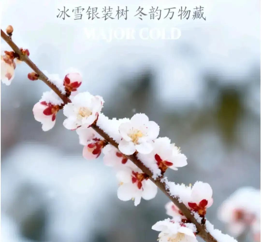 今早七点二十二分刷到一条动态。

博主说自家男人昨晚十一点才到家，往年都是大年三