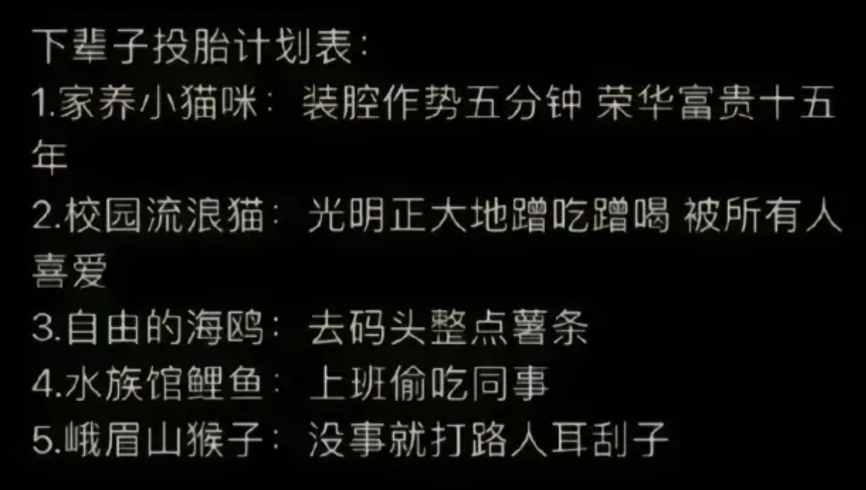 下辈子投胎计划表： ​​​