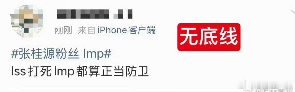 张桂源粉丝 lmp
