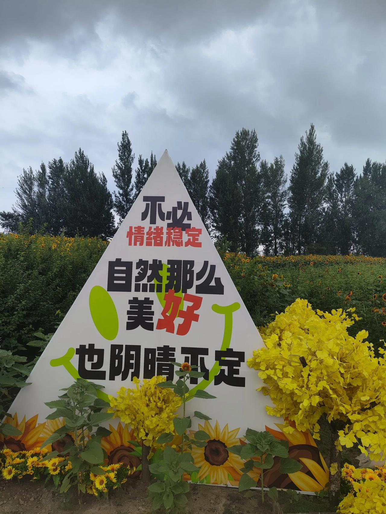 哈尔滨购车补贴3000块钱终于到账了，我们是三月份买的车，正好赶上有补贴，尽管时