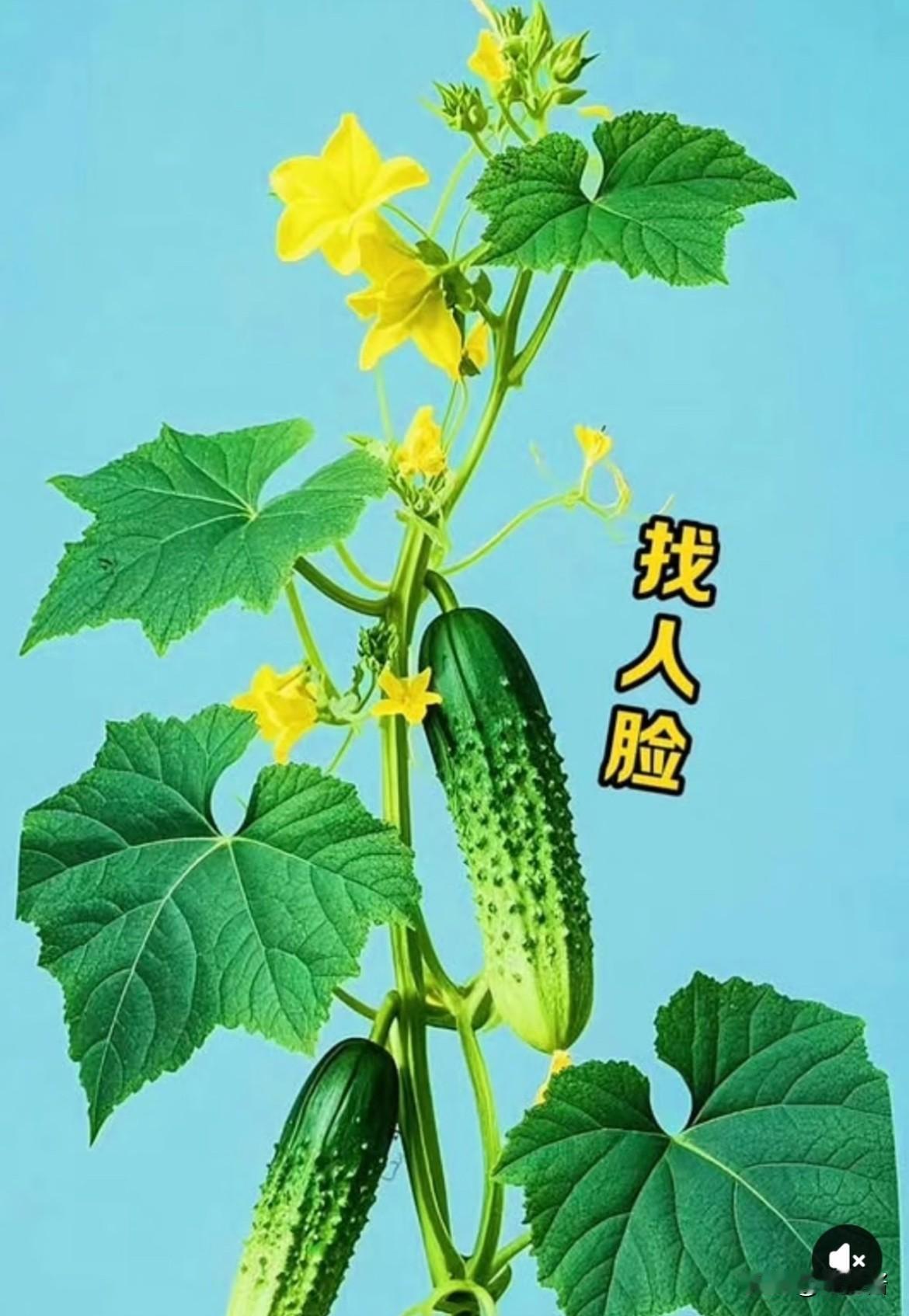 能在20秒找出三张人脸，一定是天才！
来考考大伙的眼力👀
这张图里面藏了3张人