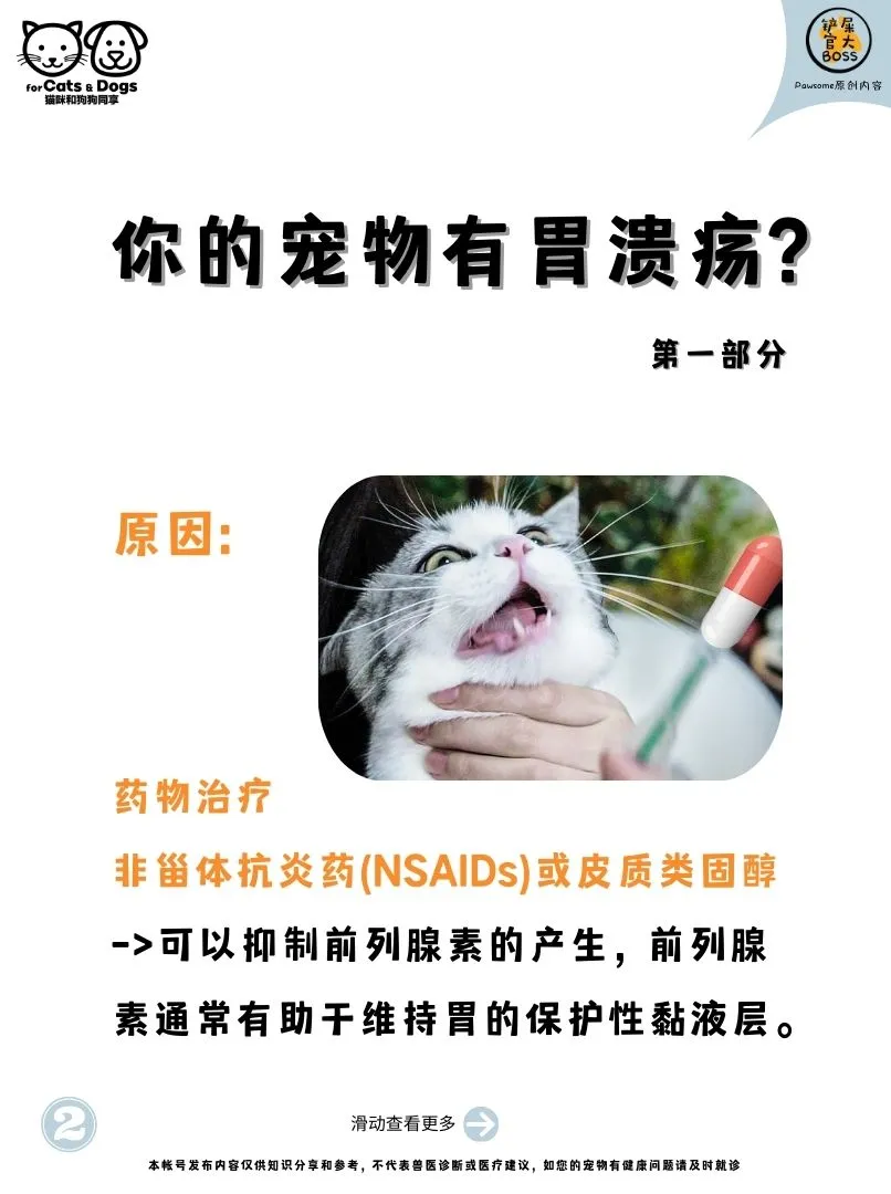 你的宠物有胃溃疡?