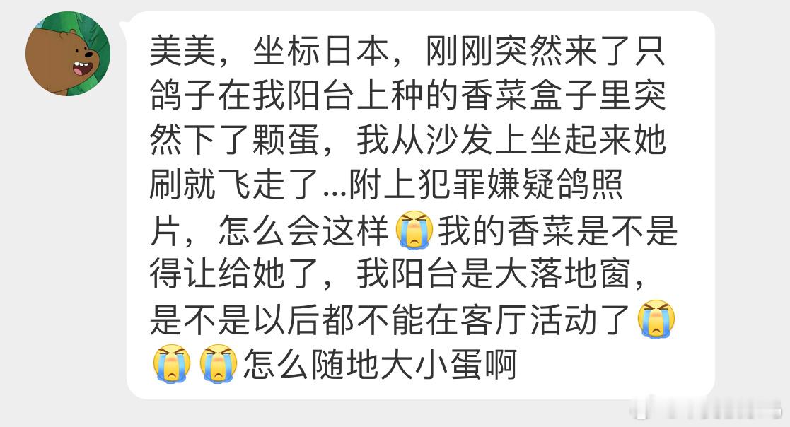 ？？？在香菜旁边随地大小蛋的咕咕可能没憋住快生了就随便找了个地方先下🙊可以观察