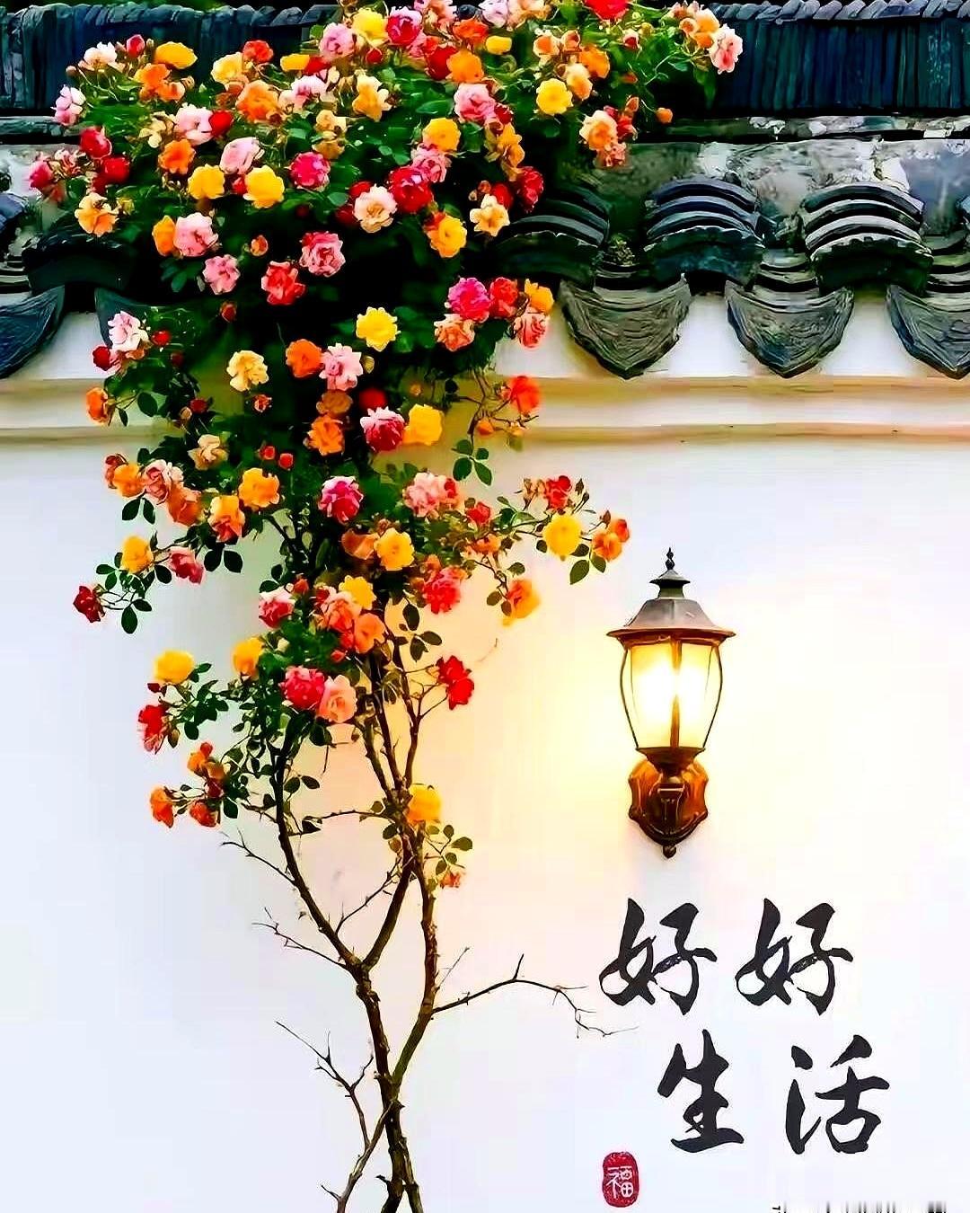 男人最怕的，不是忙，也不是累，很多时候是自己悄悄把身体掏空了还不自知。
别自欺欺