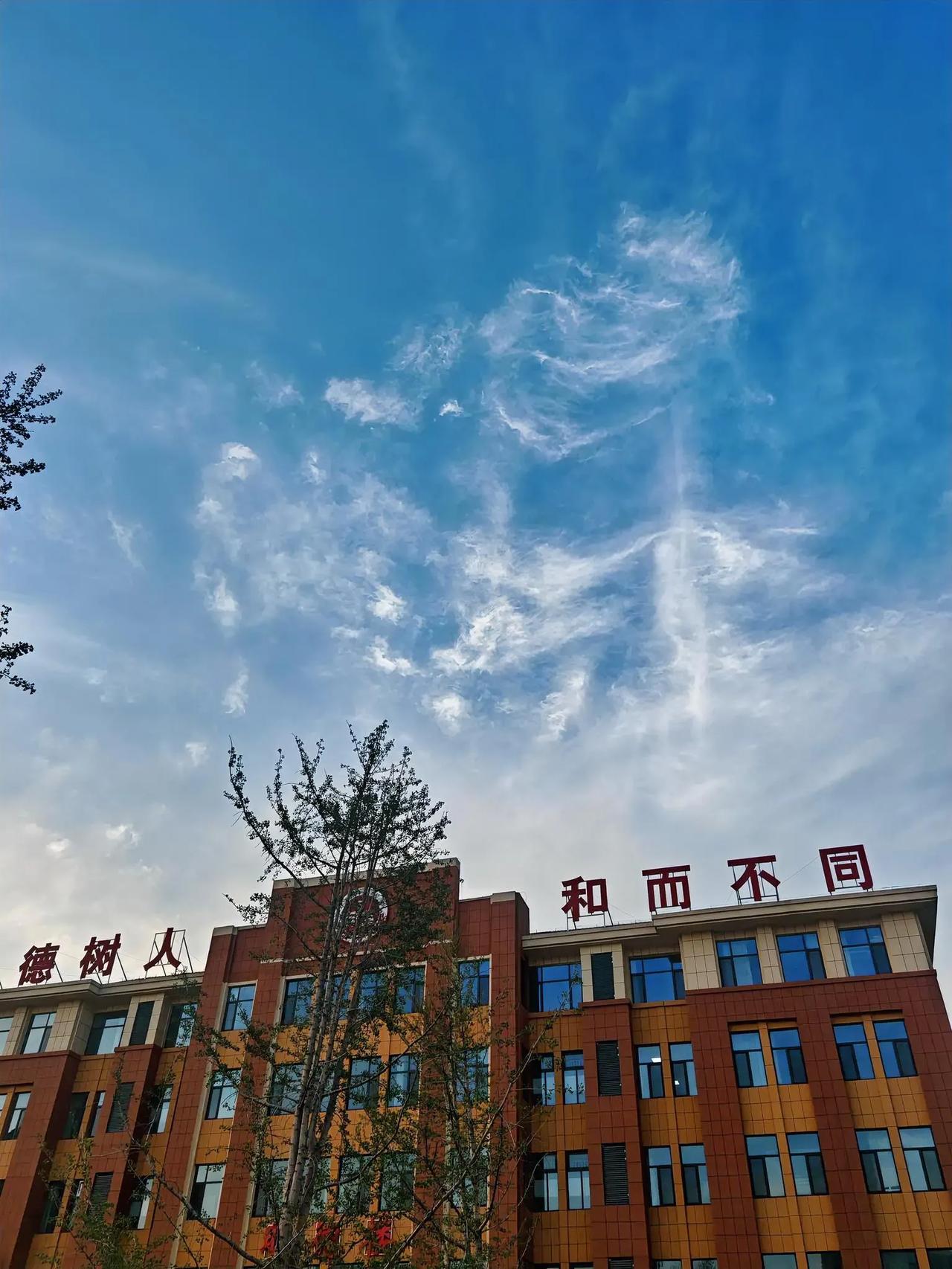 上课时我给学生讲，每名学生不仅要学习好，还要发展爱好与特长，有一些艺术修养，否则