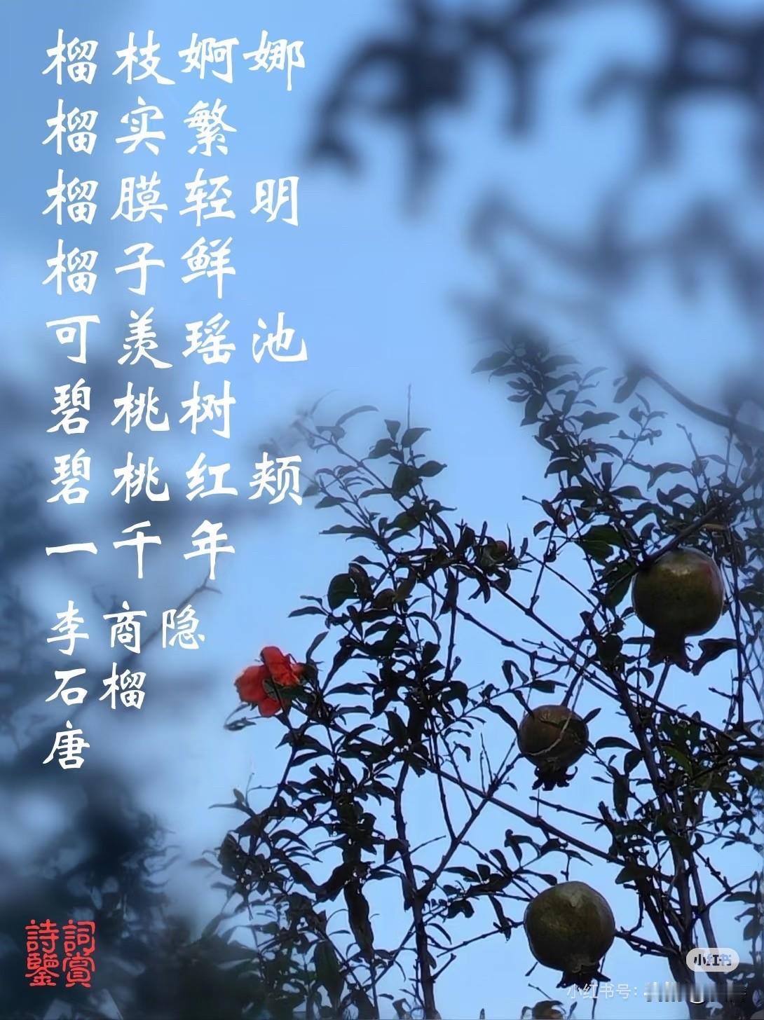 李商隐《石榴》:榴枝婀娜榴枝繁，榴膜径明榴子鲜。即寓意子孙繁茂。        