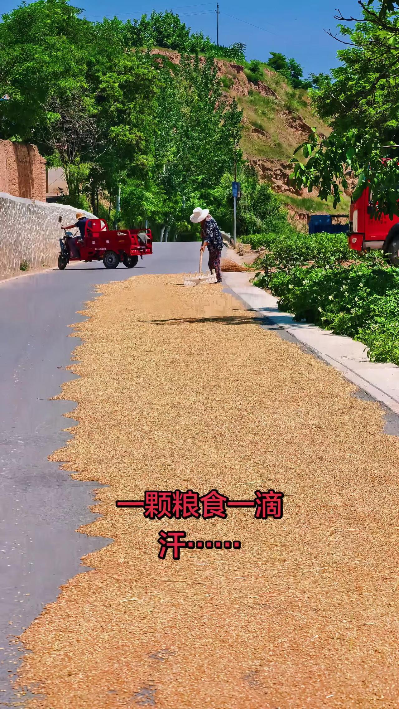 眉户剧《红心朝阳》眉户《红心朝阳》讲述公社时期红星生产队，老饲养员许老三大公无私