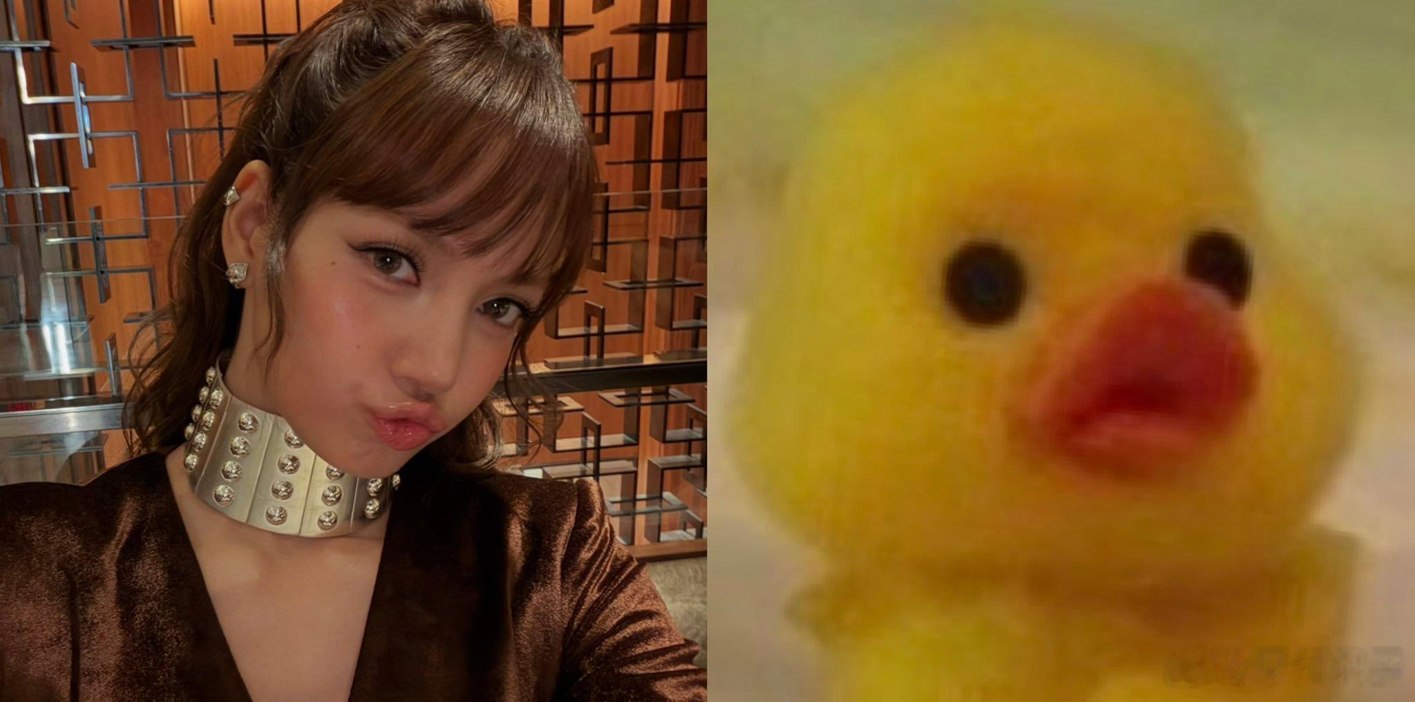 感受鸭能量🐣 ​​​