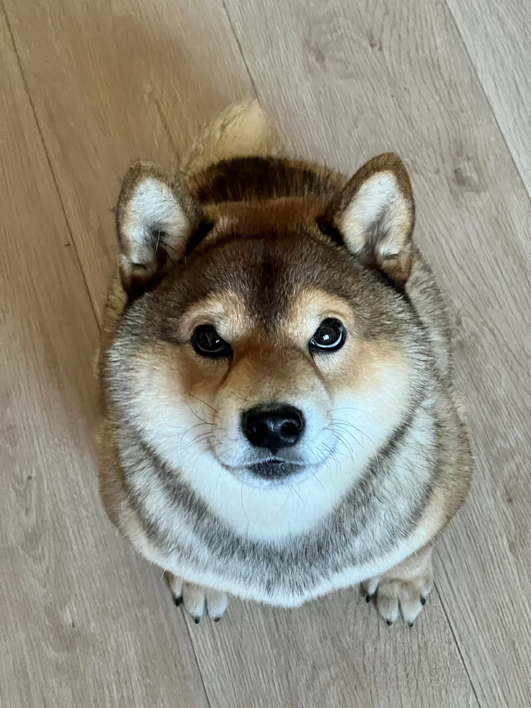 看我干什么 去厨房炒俩菜