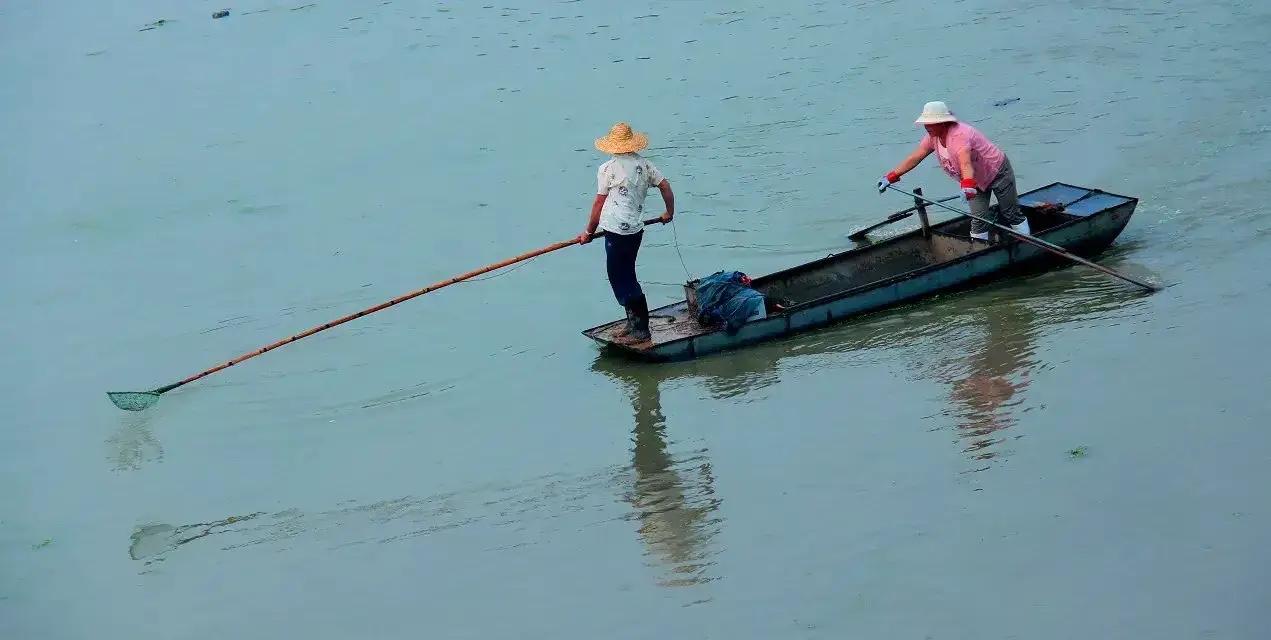 一汪静水，一叶小舟。两人立于船上，长杆轻拨水面，在碧波间劳作。水面映出身影，平凡