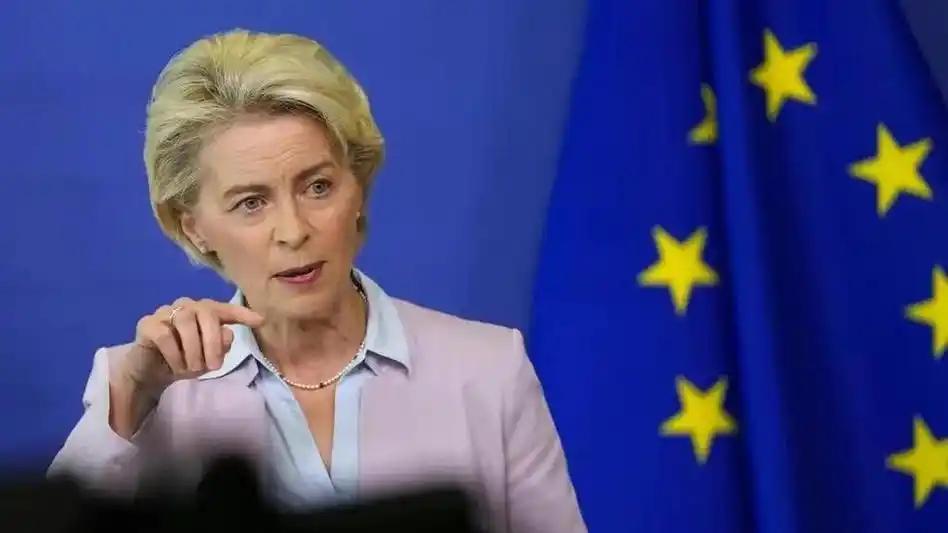 冯老太就是中欧经贸关系的“绊脚石”。
就说中国对稀土出口管制，这合理合规的举措，