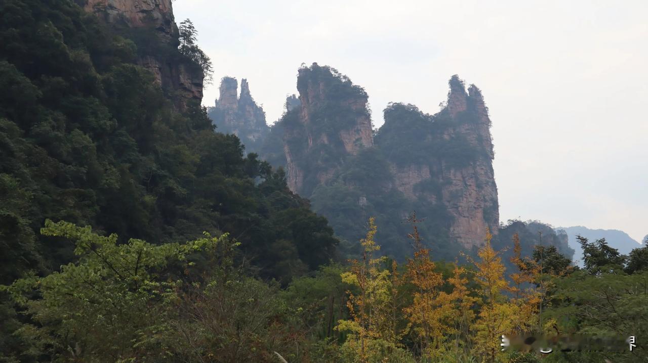 群峰妖娆，青山滴翠。林木静寂，顽猴嬉戏。张家界的淳朴脱俗就在于它的清新自然，刀斧