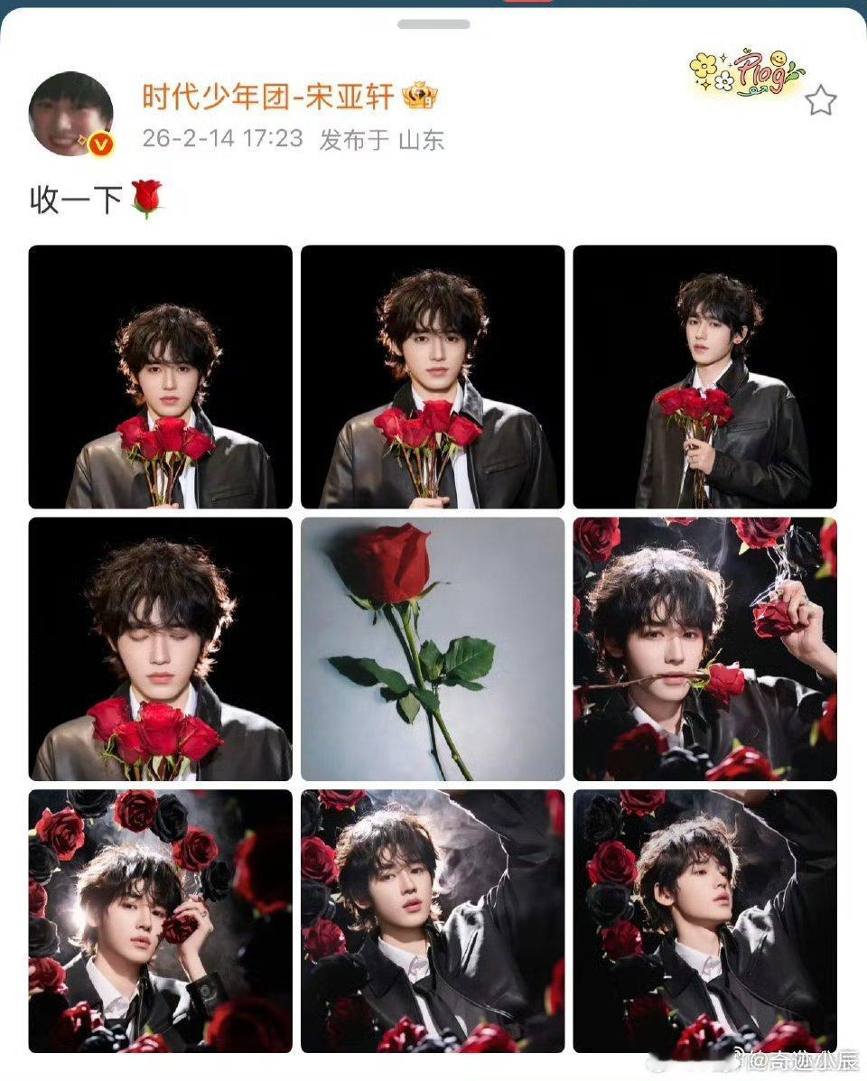 宋亚轩情人节玫瑰花9宫格宋亚轩情人节玫瑰花大片 情人节被宋亚轩的玫瑰花大片甜到！